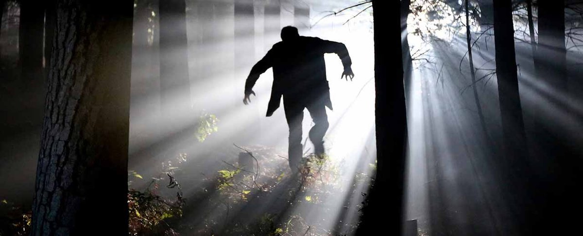 Fear Of Change Quotes: Wise Words To Inspire You