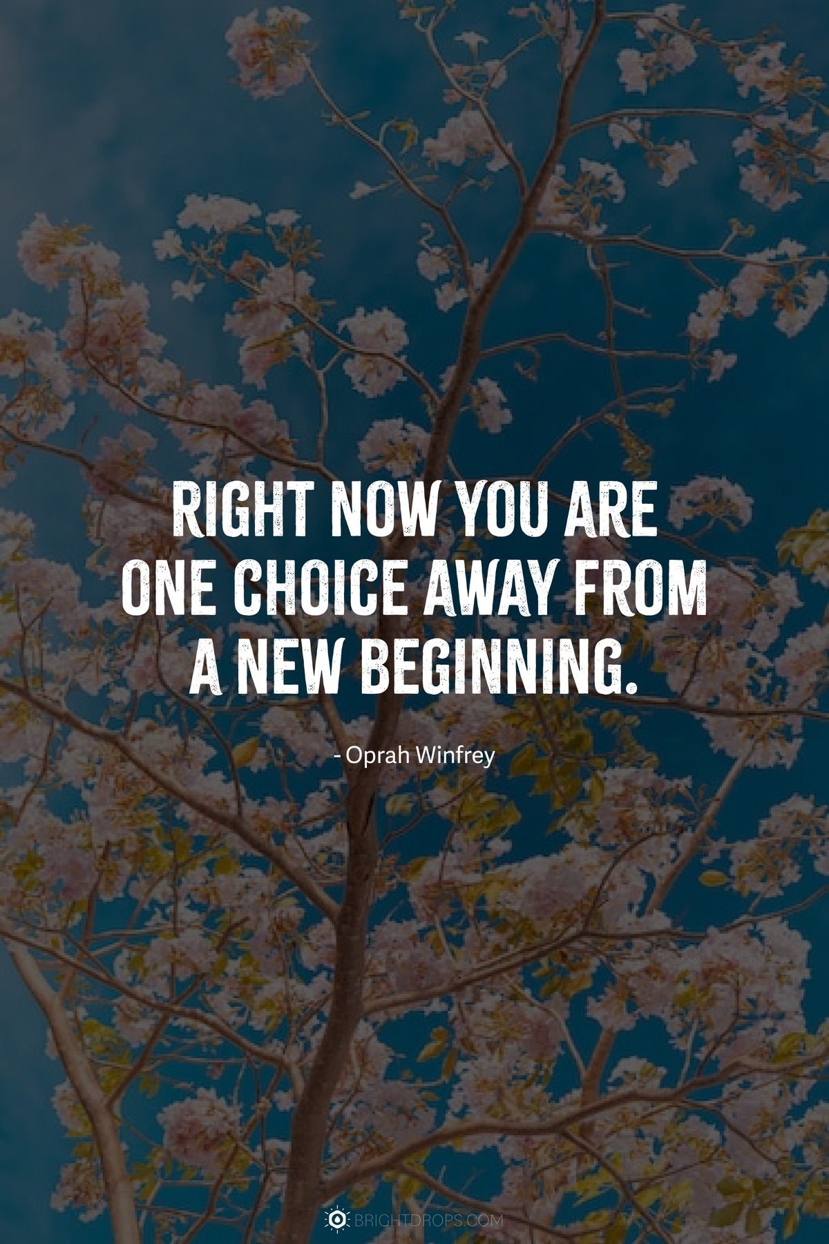 Sayings About New Beginnings: Quotes To Inspire You
