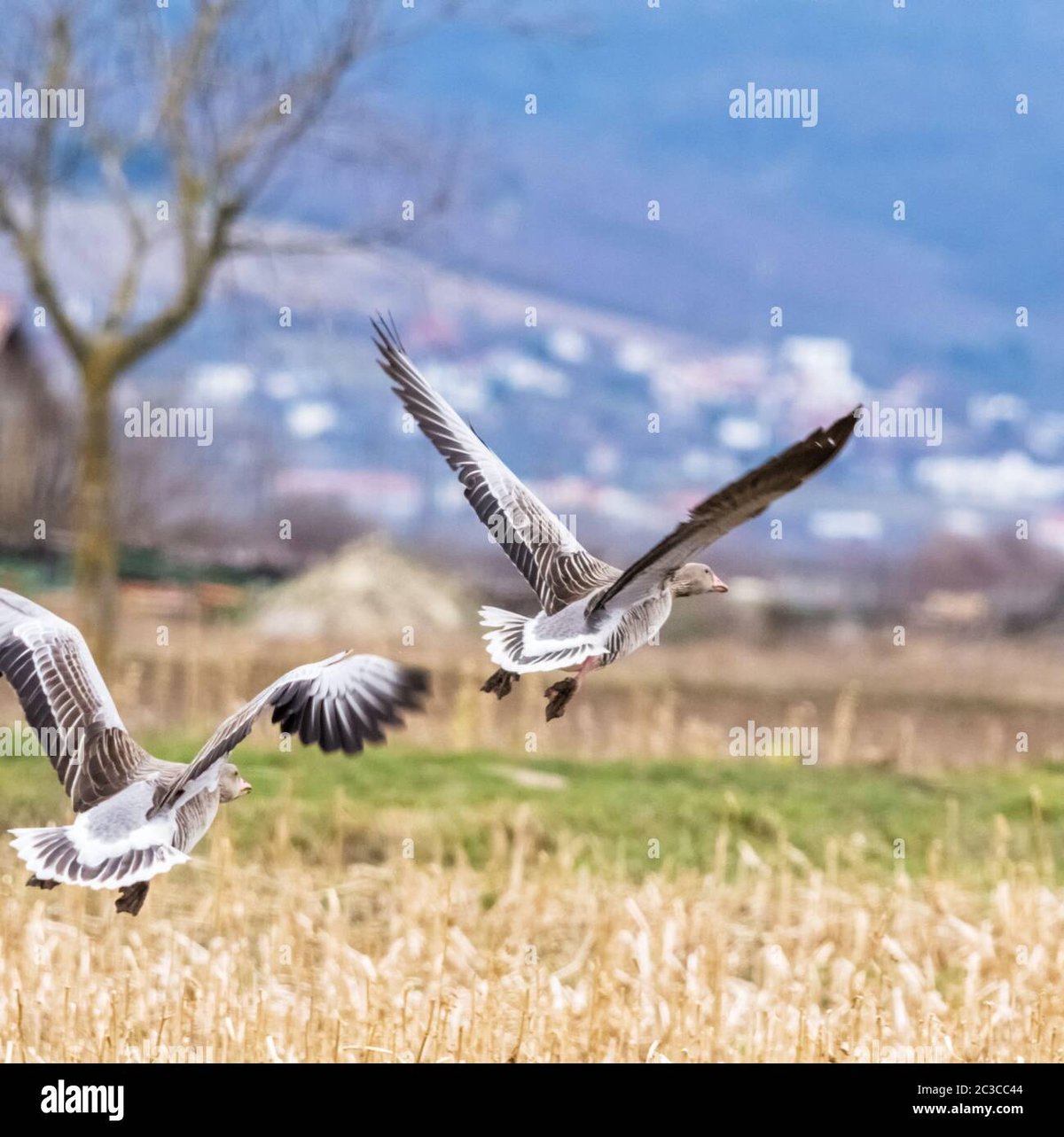 Starting A New Journey In Life: Short Quotes